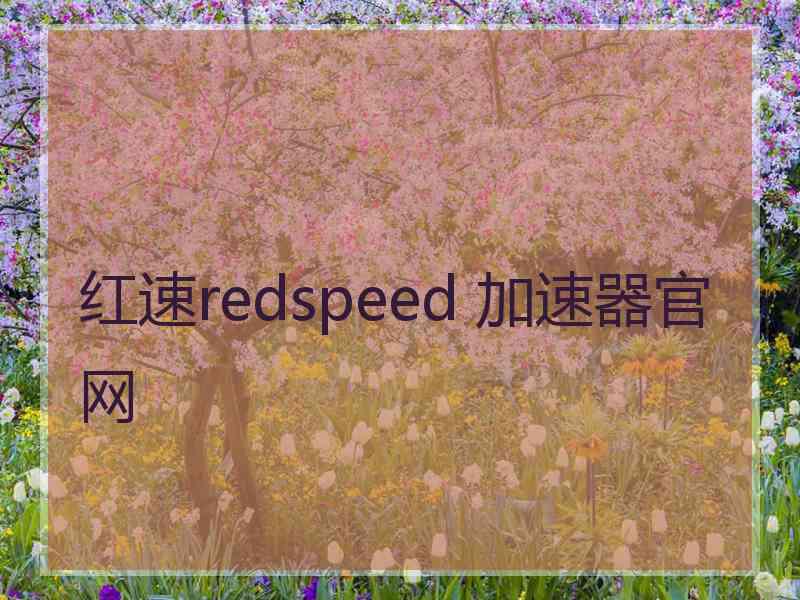 红速redspeed 加速器官网