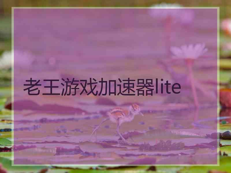 老王游戏加速器lite