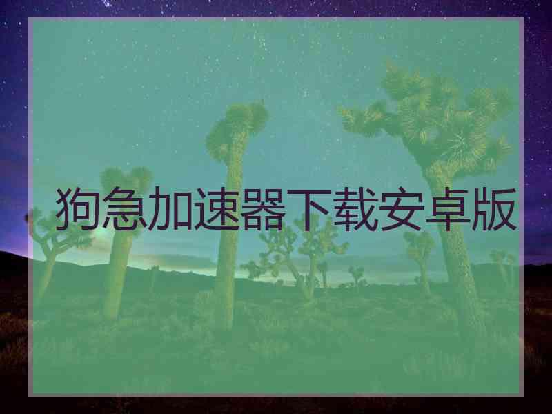 狗急加速器下载安卓版