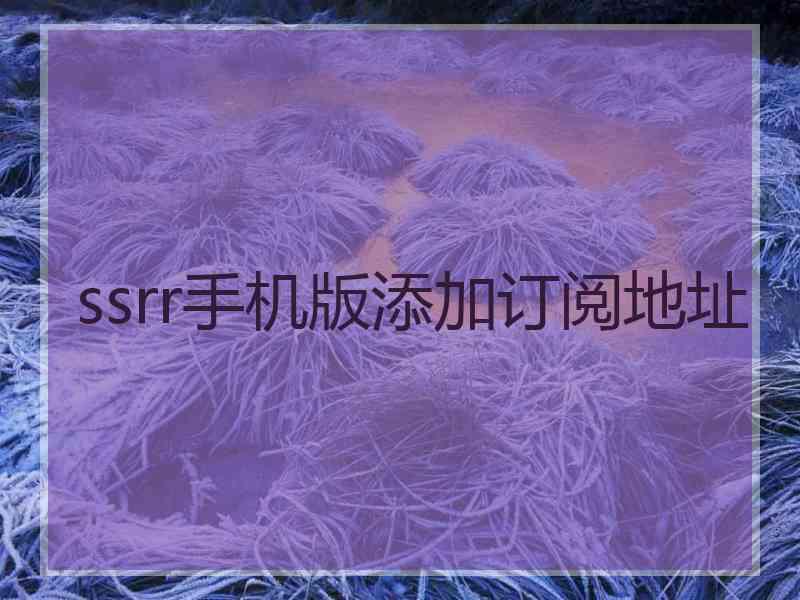 ssrr手机版添加订阅地址