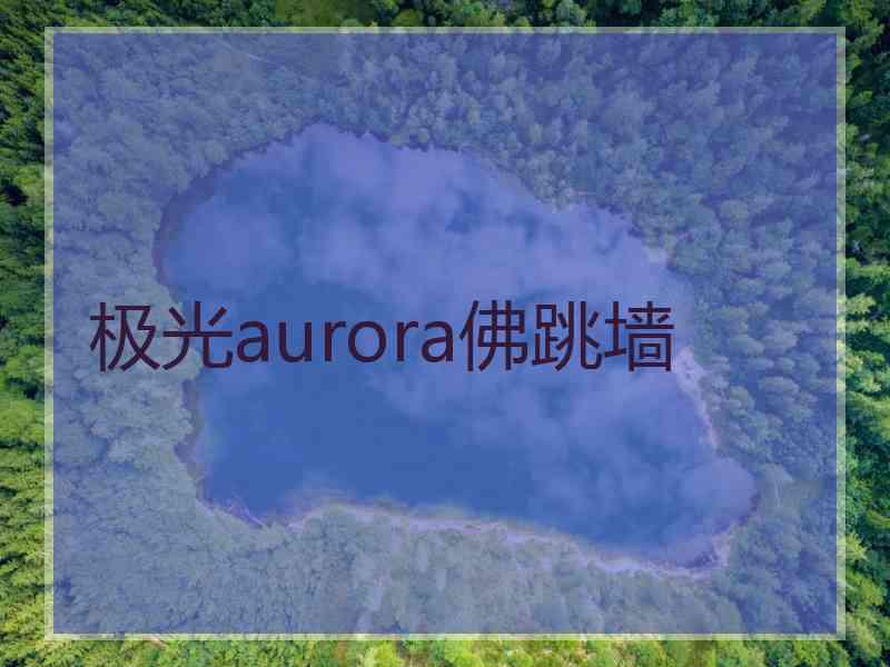 极光aurora佛跳墙