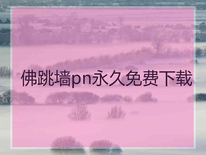 佛跳墙pn永久免费下载