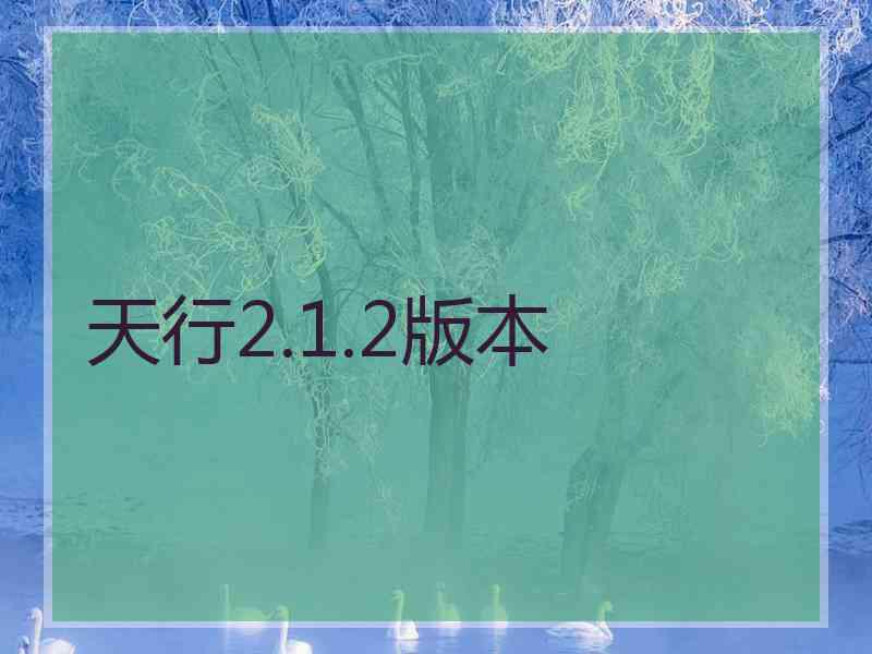 天行2.1.2版本