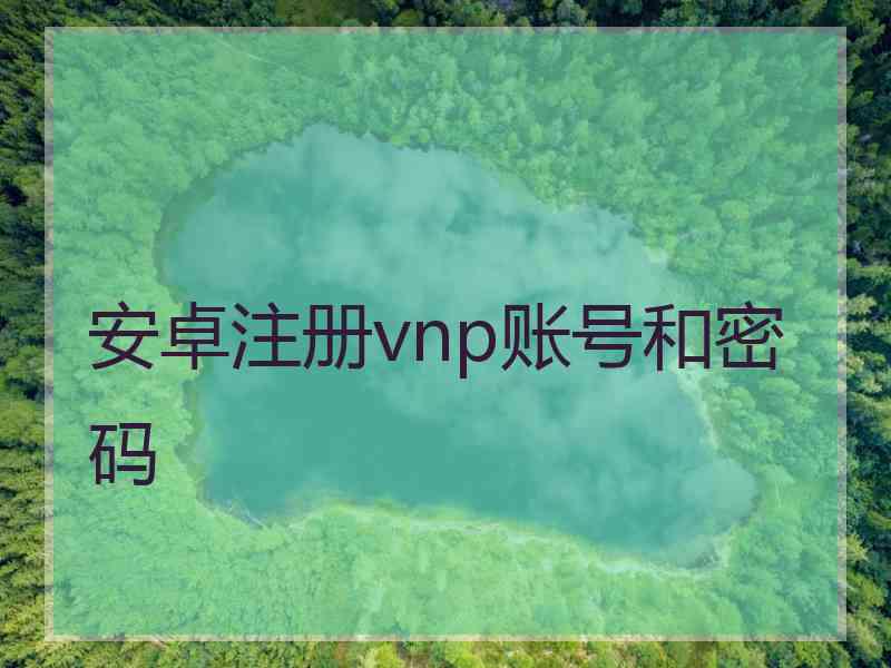 安卓注册vnp账号和密码