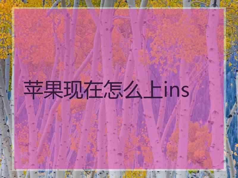 苹果现在怎么上ins