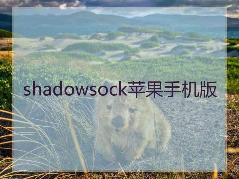 shadowsock苹果手机版