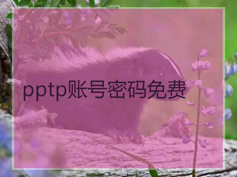 pptp账号密码免费