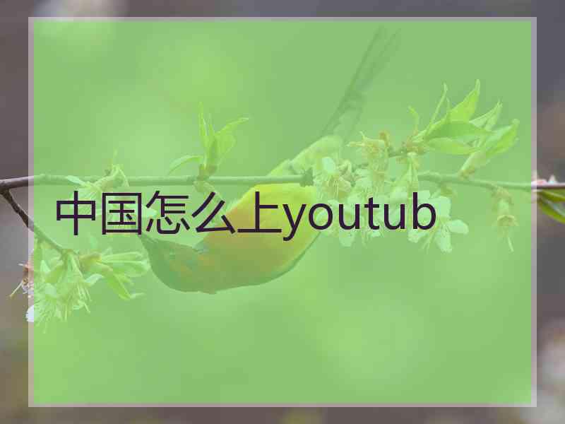 中国怎么上youtub