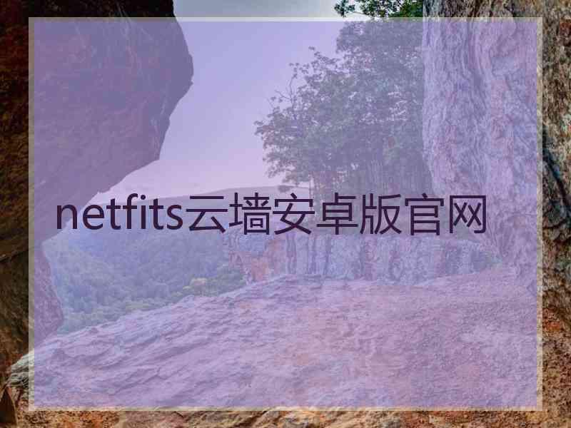 netfits云墙安卓版官网