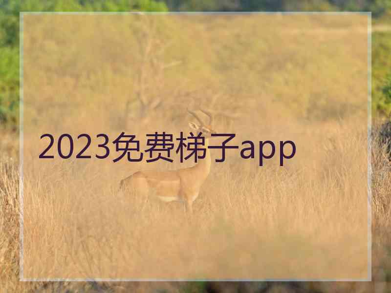 2023免费梯子app