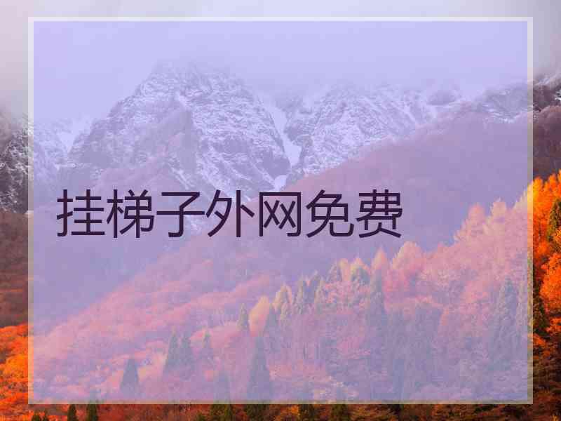 挂梯子外网免费