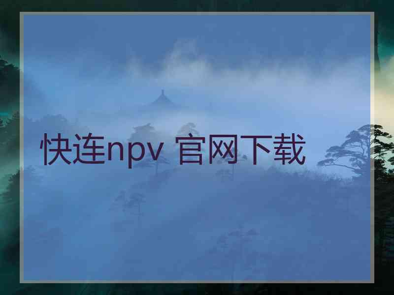 快连npv 官网下载