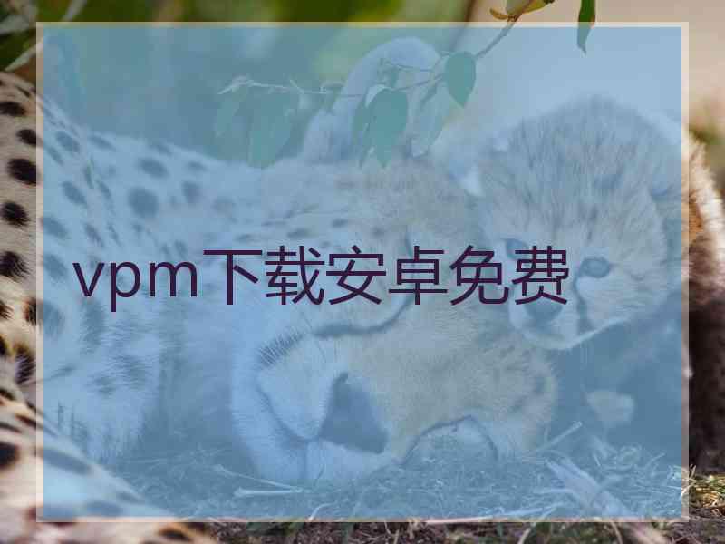 vpm下载安卓免费