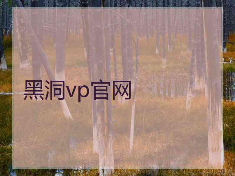 黑洞vp官网