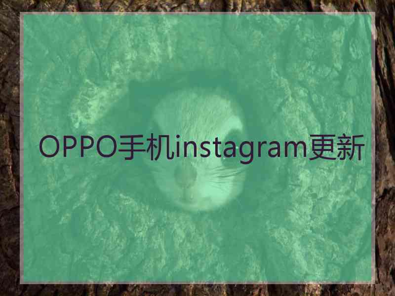 OPPO手机instagram更新