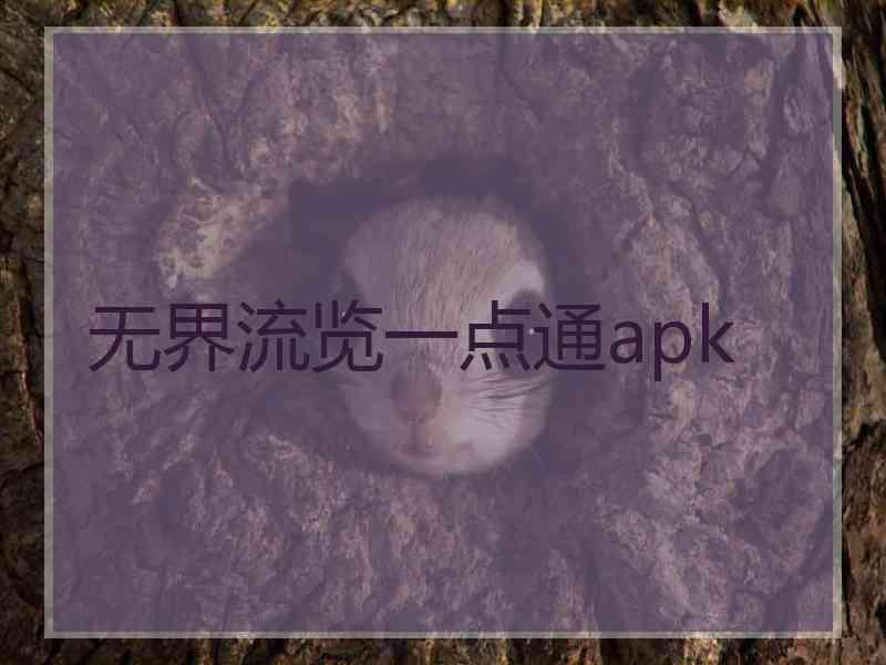 无界流览一点通apk