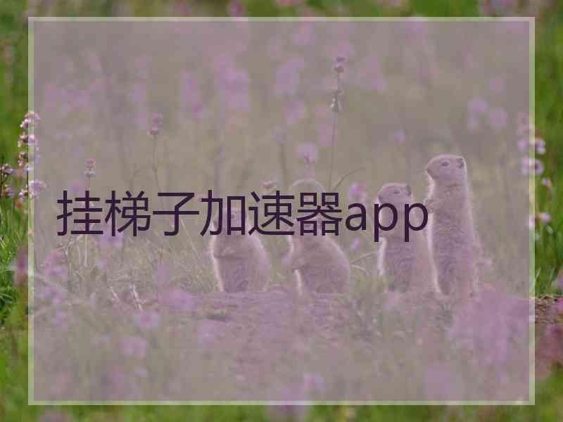 挂梯子加速器app