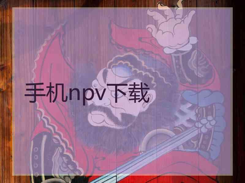 手机npv下载