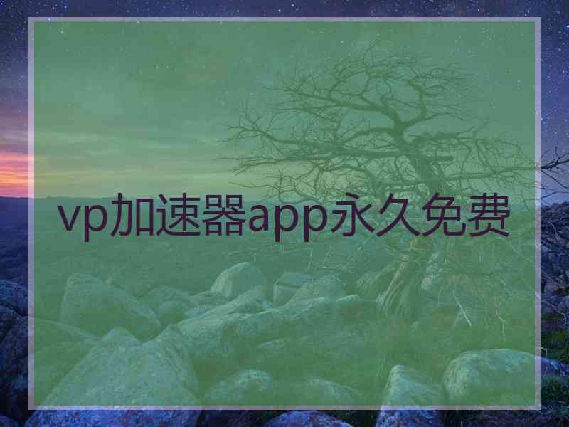 vp加速器app永久免费