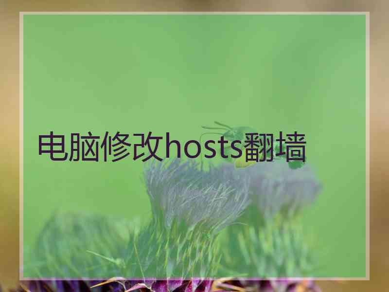 电脑修改hosts翻墙