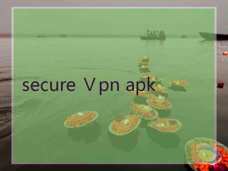 secure Ⅴpn apk