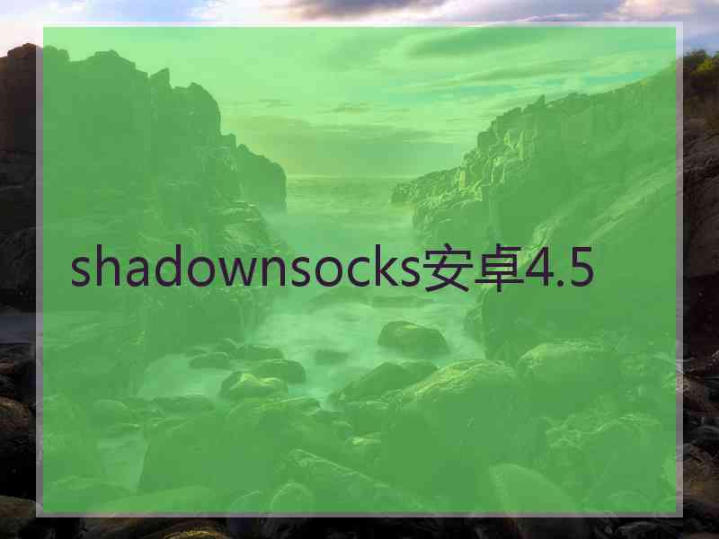 shadownsocks安卓4.5