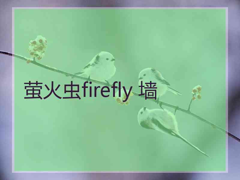 萤火虫firefly 墙