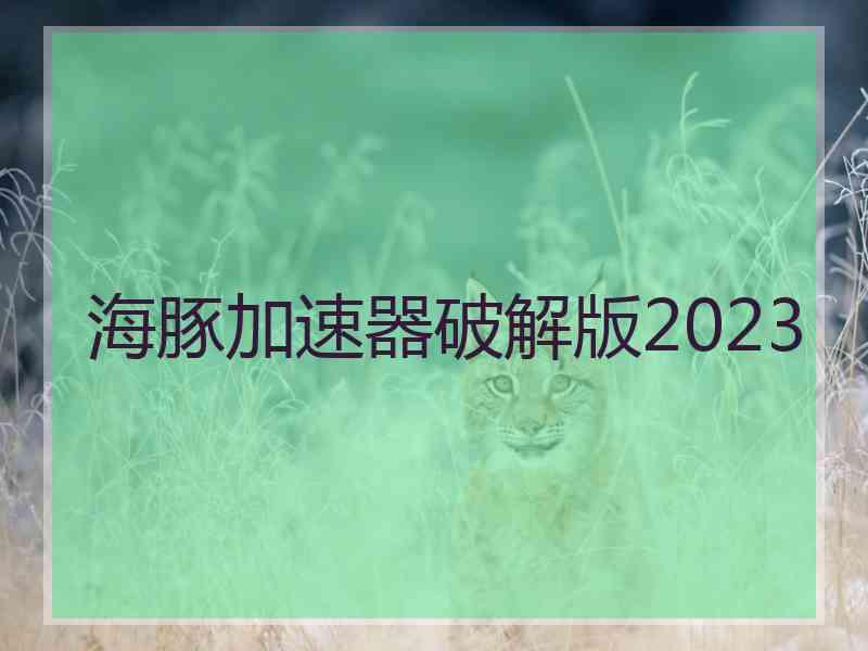 海豚加速器破解版2023