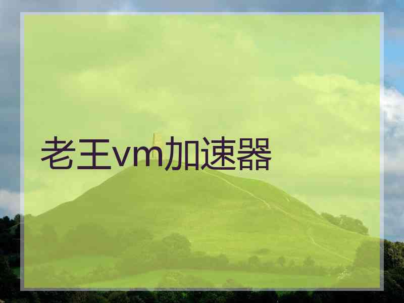 老王vm加速器