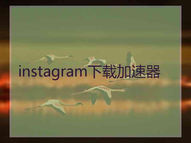 instagram下载加速器