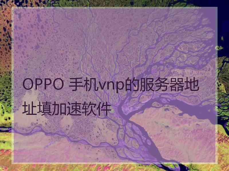 OPPO 手机vnp的服务器地址填加速软件