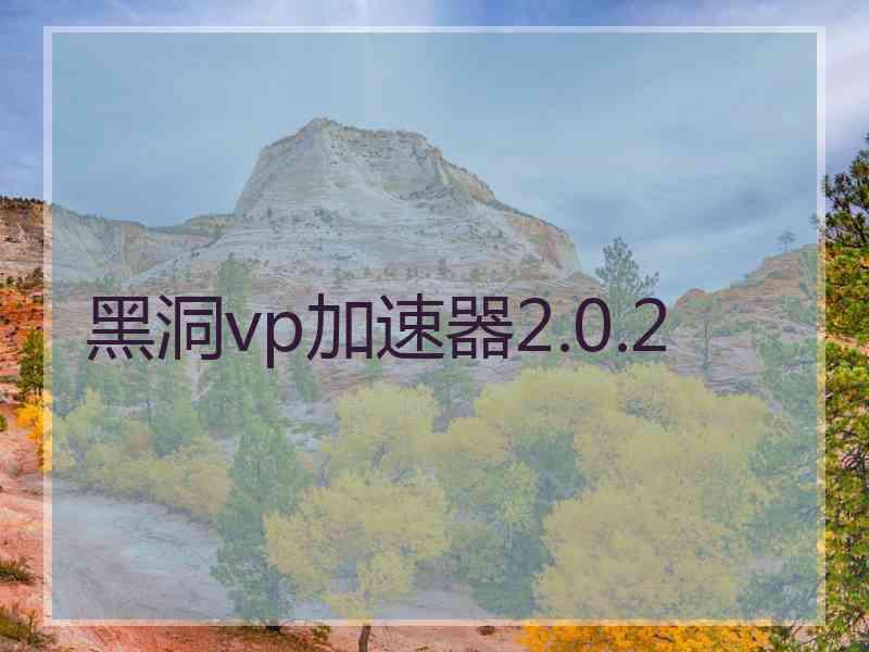 黑洞vp加速器2.0.2