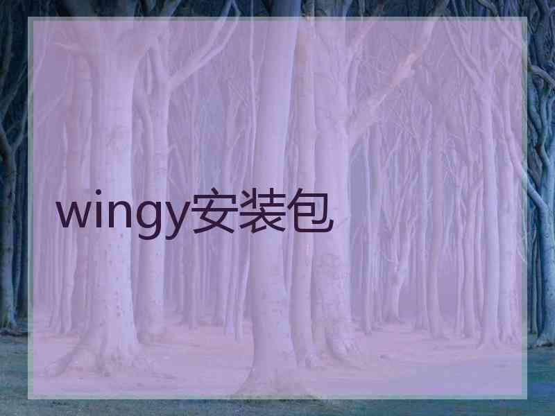 wingy安装包