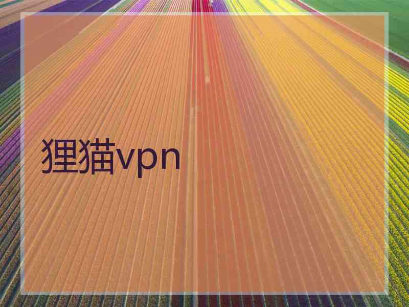 狸猫vpn