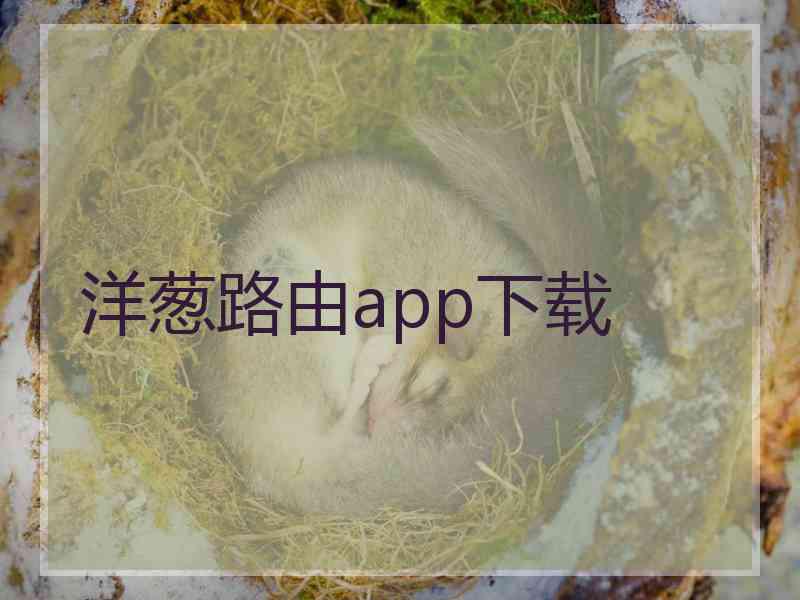 洋葱路由app下载