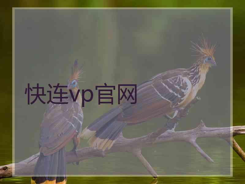 快连vp官网