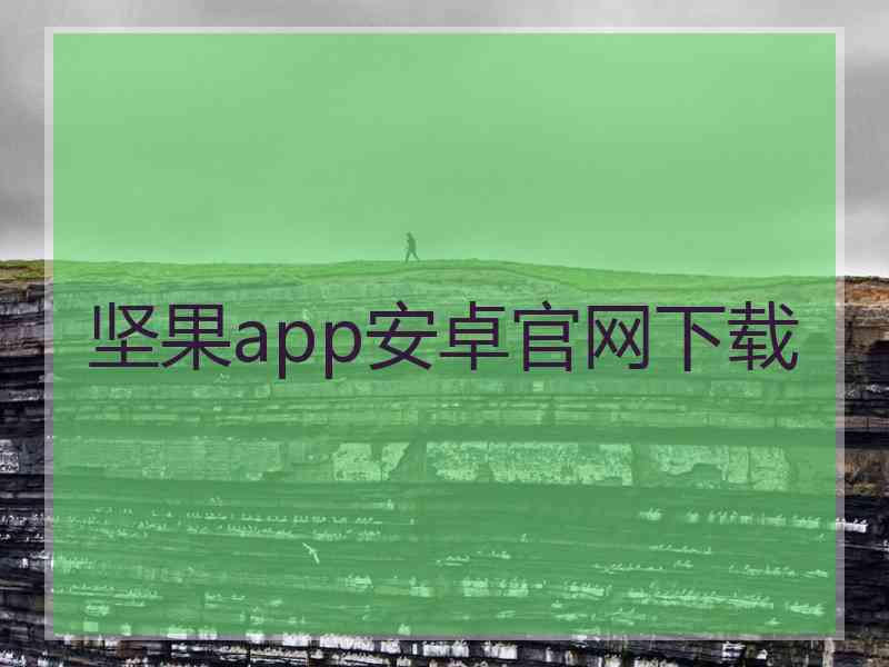 坚果app安卓官网下载