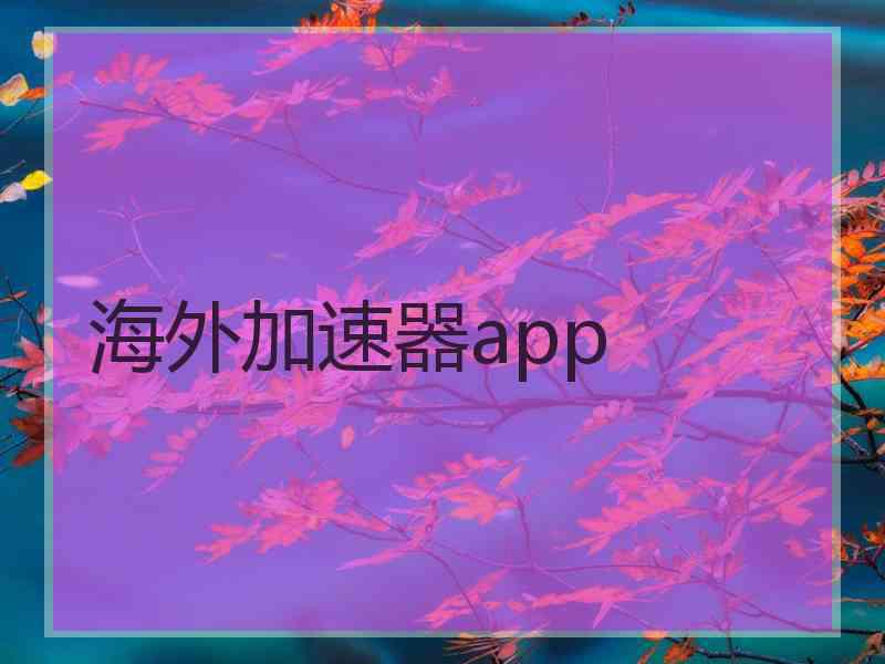 海外加速器app