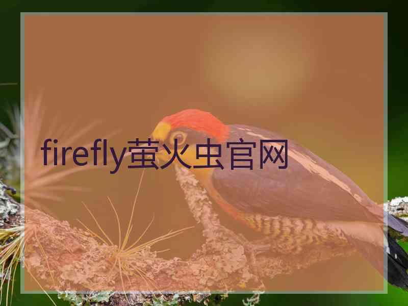 firefly萤火虫官网