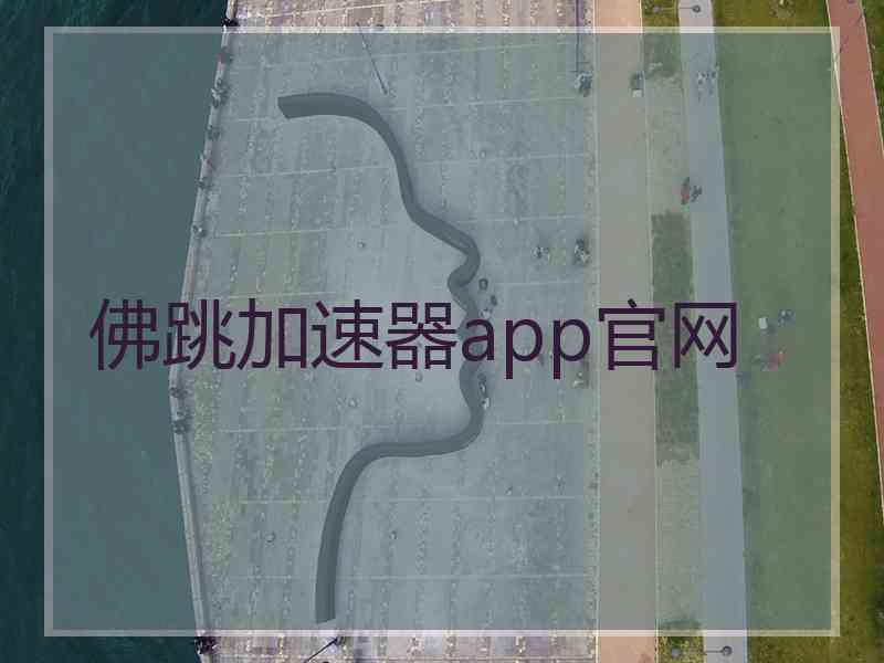 佛跳加速器app官网