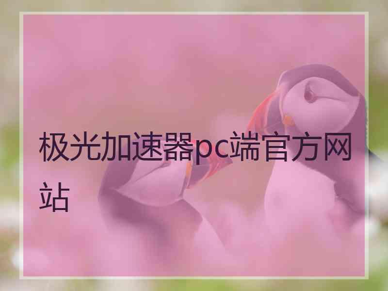 极光加速器pc端官方网站