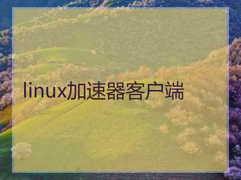 linux加速器客户端