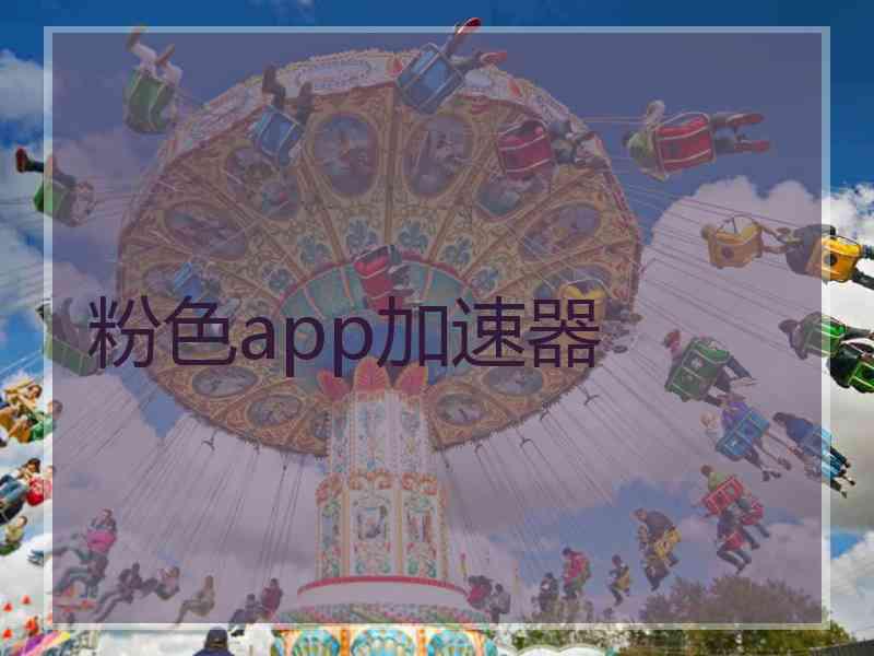 粉色app加速器