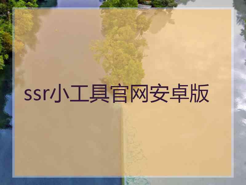 ssr小工具官网安卓版