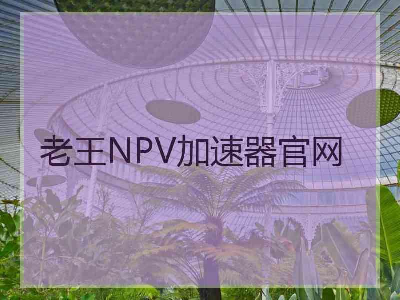 老王NPV加速器官网