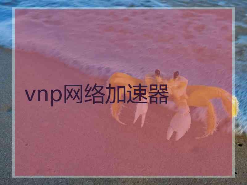 vnp网络加速器