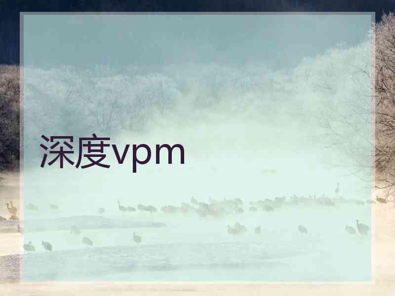 深度vpm