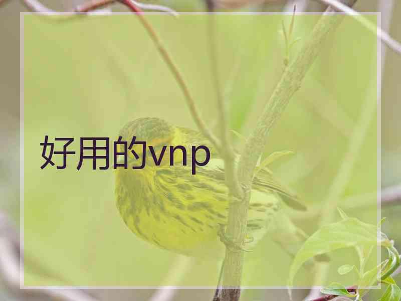 好用的vnp