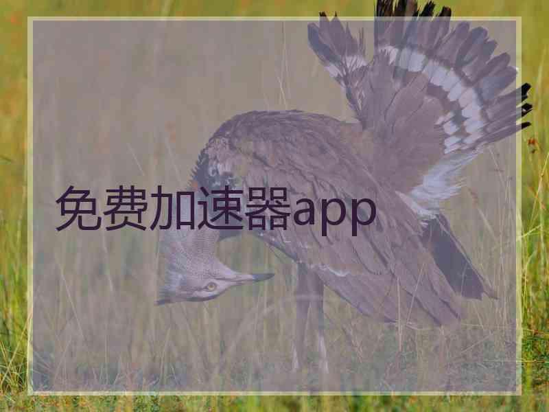 免费加速器app