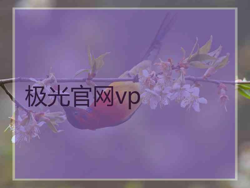 极光官网vp